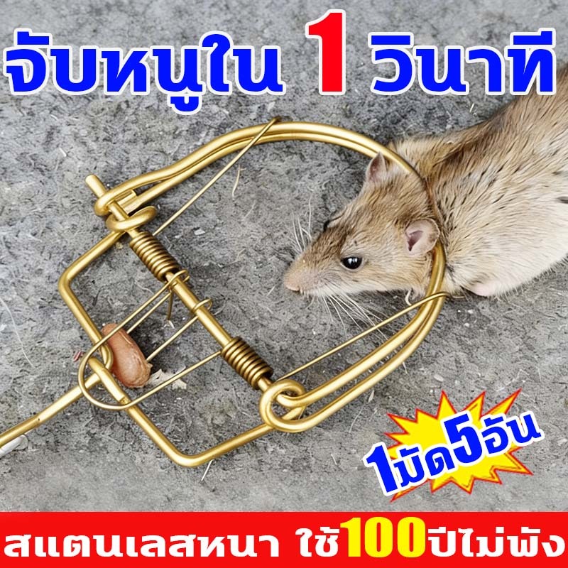 ใช้100ปีไม่พังง่ายปีไม่พังง่าย กับดักหนูแบบสปริง จับหนูใน 1 วินาที ที่ดักหนู หนีไม่พ้น! อุปกรณ์ดักหนู แรงที่สุด จับได้ไม
