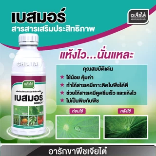ยกลัง 30 ขวด เบสมอร์ ขนาด 100cc