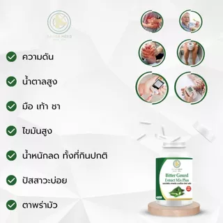 สารสกัด มะระขี้นก มิกซ์ พลัส น้ำตาลสูง ความดันสูง ไขมันสูง มือเท้าชา ตาพร่ามัว ( เรดาร์เฮิร์บ 60 แคปซูล )