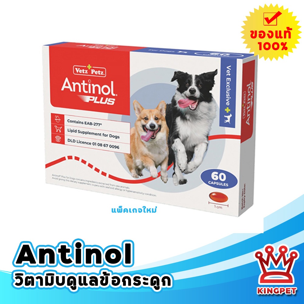 ระหว่างเปลี่ยนแพ็คเกจ [EXP02-2028] Antinol dog 60 เม็ด วิตามินบำรุงข้อสำหรับสุนัขทุกสายพันธุ์