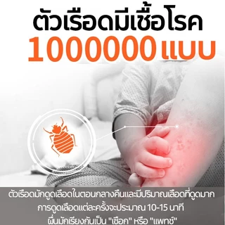 [บอกลากับตัวเรือด] ยาฆ่าตัวเรือด 500ml ไม่มีสีไม่มีกลิ่น ไม่เป็นอันตรายต่อร่างกายมนุษย์ bed bug killer spray ยากำจัดเรือ