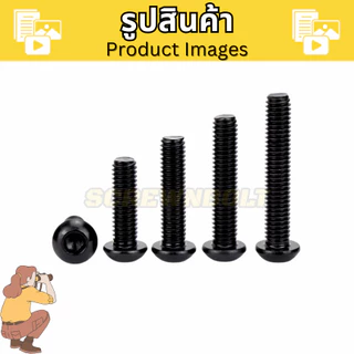 น็อต สกรู หัวจมกลม หกเหลี่ยมใน สแตนเลส 304 ชุบดำ เกลียวมิล หยาบ M5 M6 M8
