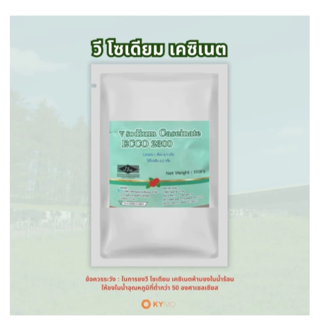 !V Sodium Caseinate: โปรตีนเคซีน โปรตีนนมวัว WHEY PROTEIN CONCENTRATE 80% 1kg
