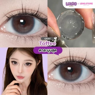 คอนแทคเลนส์รายเดือน LULOO รุ่น Toffee ทอฟฟี่ เลนส์ตาละมุนสุด