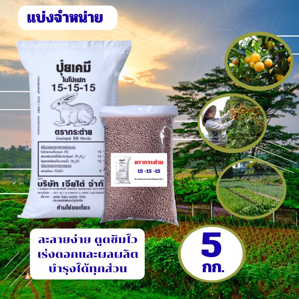 ปุ๋ยตรากระต่าย [สูตร15-15-15]สำหรับพืชทุกชนิด✨ แบ่งขาย : 5 กก. พร้อมส่ง