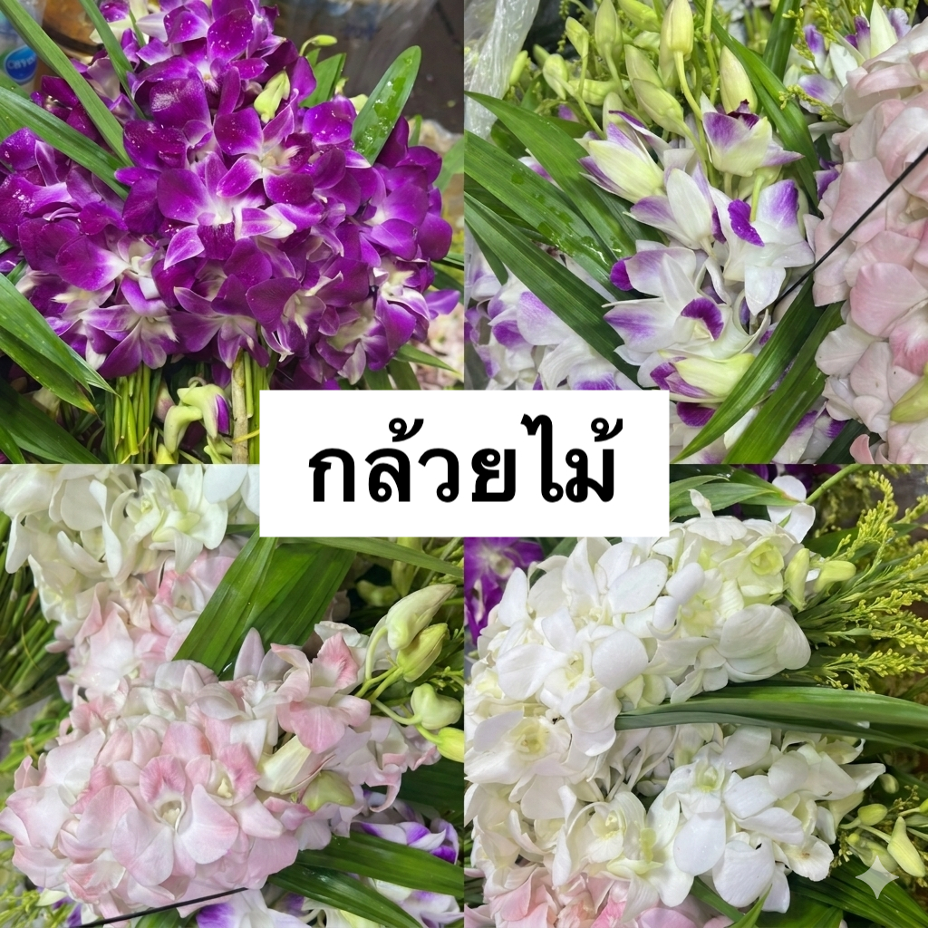 ‼️ของเข้าบ่าย2ทุกวัน ขายบ่อย-เช็คก่อนสั่ง ⏰ส่งใน 2 ชม.| กล้วยไม้ | ม่วงมีทุกวัน | ดอกไม้ไหว้พระ//ทำบุญ/จัดดอกไม้