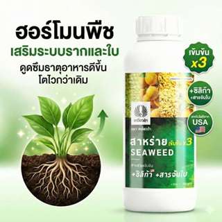 ฮอร์โมน สาหร่ายทะเลเข้มข้นสูตรน้ำ สารเสริมช่วยทำใบและดึงดอก …