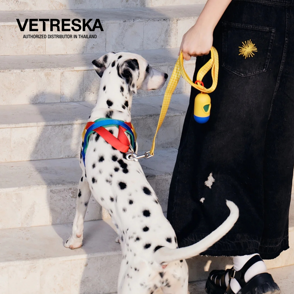 VETRESKA ชุดรัดอก สายรัดอก สุนัข Chroma Pet Harness & Leash Set - Yellow