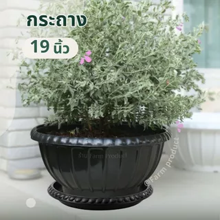 กระถางต้นไม้ พร้อมจานรอง ทรงปากกว้าง 19" ดีไซน์คลาสสิก