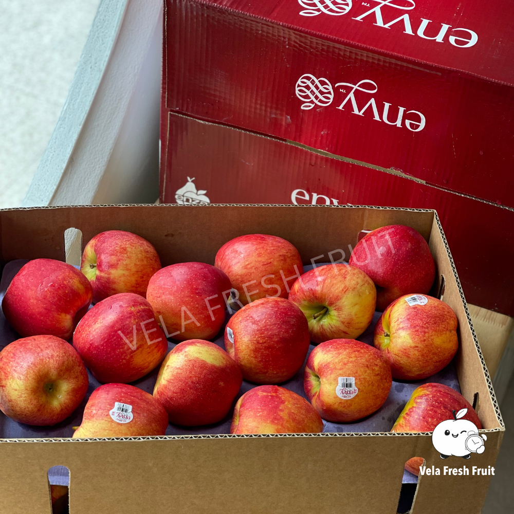 แอปเปิ้ล เอนวี่ อเมริกา นิวซีแลนด์ (แพค 3-5 ลูก) Premium Envy Apple USA NZ