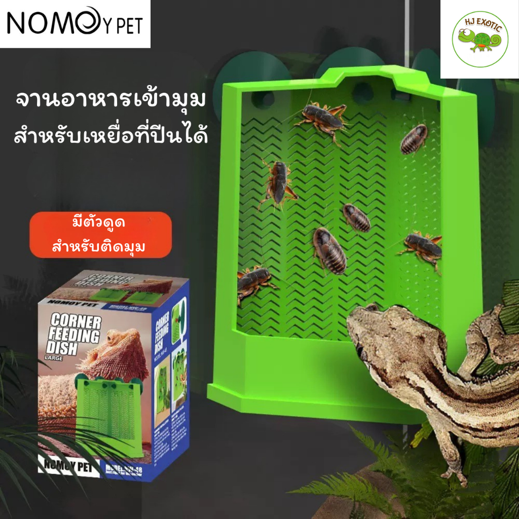 Nomoy pet จานอาหาร วางเข้ามุม สำหรับเหยื่อที่ปีนได้ เช่น สะดิ้ง แมลงสาบดูเบีย