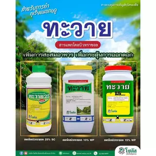 ทะวาย ขนาด 10 กิโลกรัม แพคโคลบิวทราโซล 10% ควบคุมการเจริญเติบโตของพืช ออกดอกสม่ำเสมอ เพิ่มคุณภาพผลผลิต