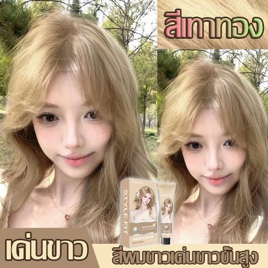 【สินค้าพร้อมส่งจากประเทศไทย】🔥 ฮอต! ยาย้อมผม STYLEFIT สีทองอมเทา 💎 เนื้อสัมผัสโทนเย็น สวยเป็นธรรมชาติ 🌿 สูตรออร์แกนิค
