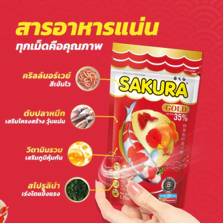 อาหารปลาซากุระ SAKURA GOLD ขนาด 250 กรัม อาหารปลาสวยงาม สูตรเร่งสี เร่งโต ใช้แล้วน้ำไม่ขุ่น