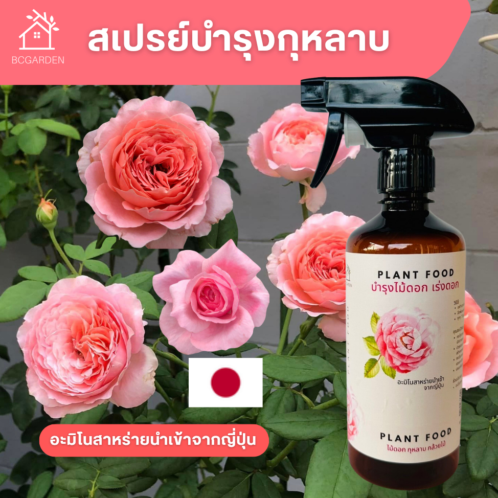 ปุ๋ยกุหลาบ ปุ๋ยดอกไม้ ปุ๋ยบำรุงดอกไม้ อาหารเสริมต้นไม้ แบบขวดสเปรย์ 1 ขวด  Plant Food