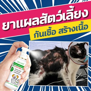 🌟หายวันเดียว🌟สเปรย์มอมแมม พ่นเชื้อรา แผล คันเกา แบคทีเรีย ยี…