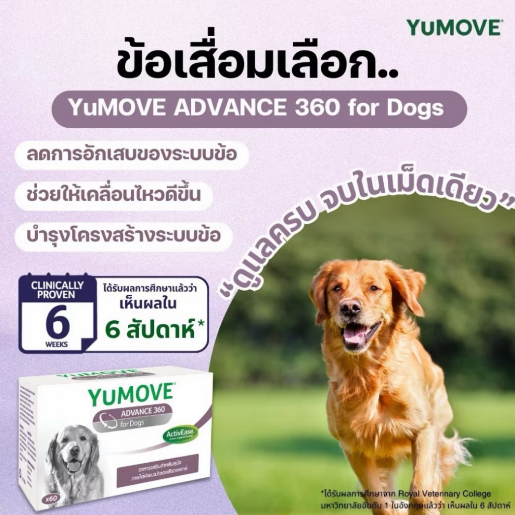 YuMOVE ADVANCE 360 for Dogs - อาหารเสริมบำรุงข้อกระดูก สำหรับสุนัขที่เริ่มมีอาการอักเสบแล้ว 120 เม็ด
