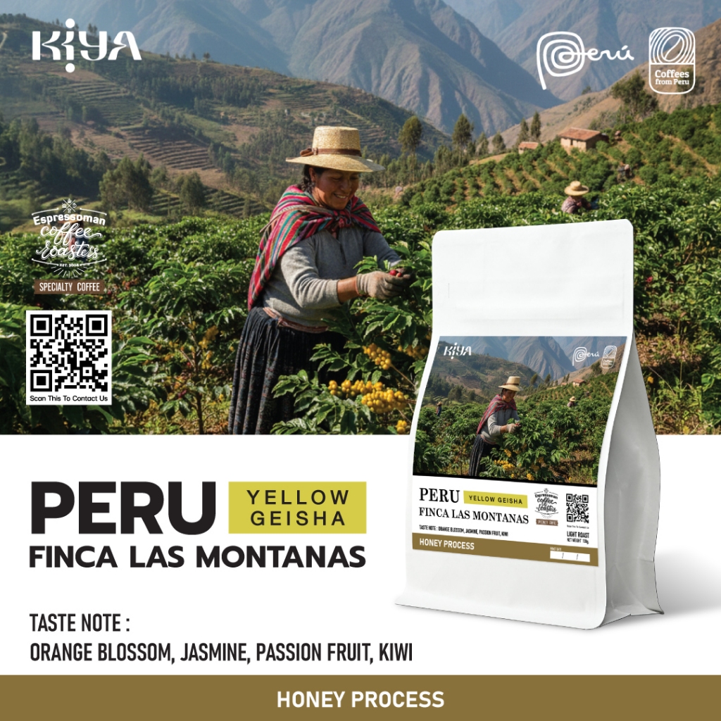 Peru yellow geisha finca las montanas Honey Process กาแฟพิเศษ เปรู เกอิชา คั่วอ่อน Espressoman Specialty Coffee