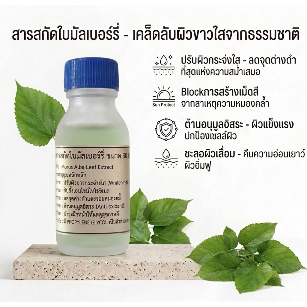 สารสกัดใบมัลเบอร์รี่ (Mulberry Leaf Extract) ขนาด 30 มล.