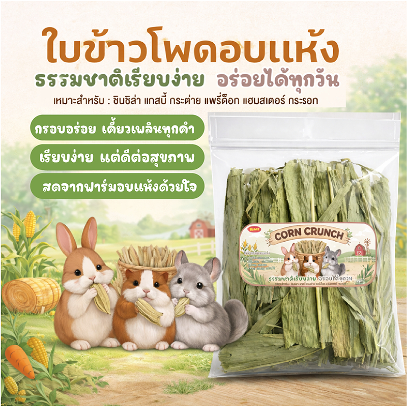 ใบข้าวโพด ใบข้าวโพดอบแห้ง-อบลมร้อน สำหรับสัตว์ฟันแทะ กระต่าย หนูตะเภา ชินชิล่า 250 กรัม (PT-CC01)