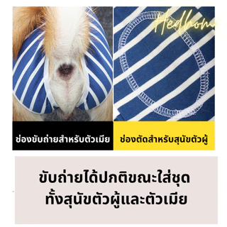NEW‼️ชุดสุนัขสำหรับใส่หลังผ้าตัด ชุดกันเลีย ชุดทำหมัน ปิดรอบท้อง สำหรับสุนัขเล็กถึงสุนัขใหญ่ ผ้ายืดหยุ่น