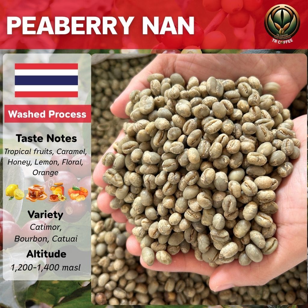 สารกาแฟไทย 1kg Peaberry พีเบอร์รี่ น่านสวนยาหลวง อราบิก้า/Washed สั่งซื้อเกิน 20kg. ทักแชท เมล็ดกาแฟดิบ