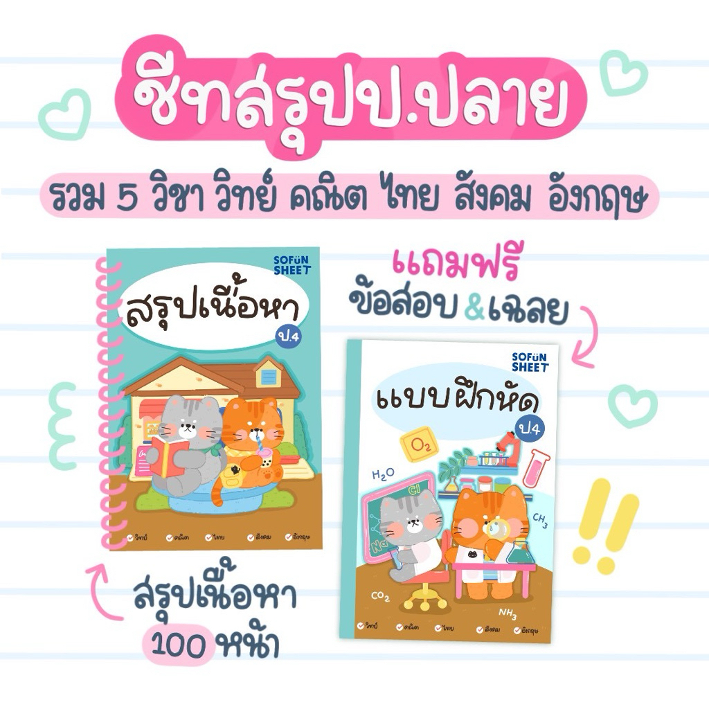 [ชีทสรุป+แบบฝึกหัด]สรุปเนื้อหา5วิชาหลักป.4_Byพี่เจ้านางSofunsheet