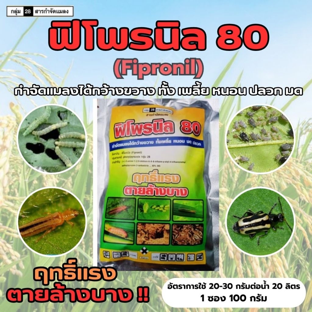 ฟิโพรนิล80  หนอน เพลี้ย มด ปลวก