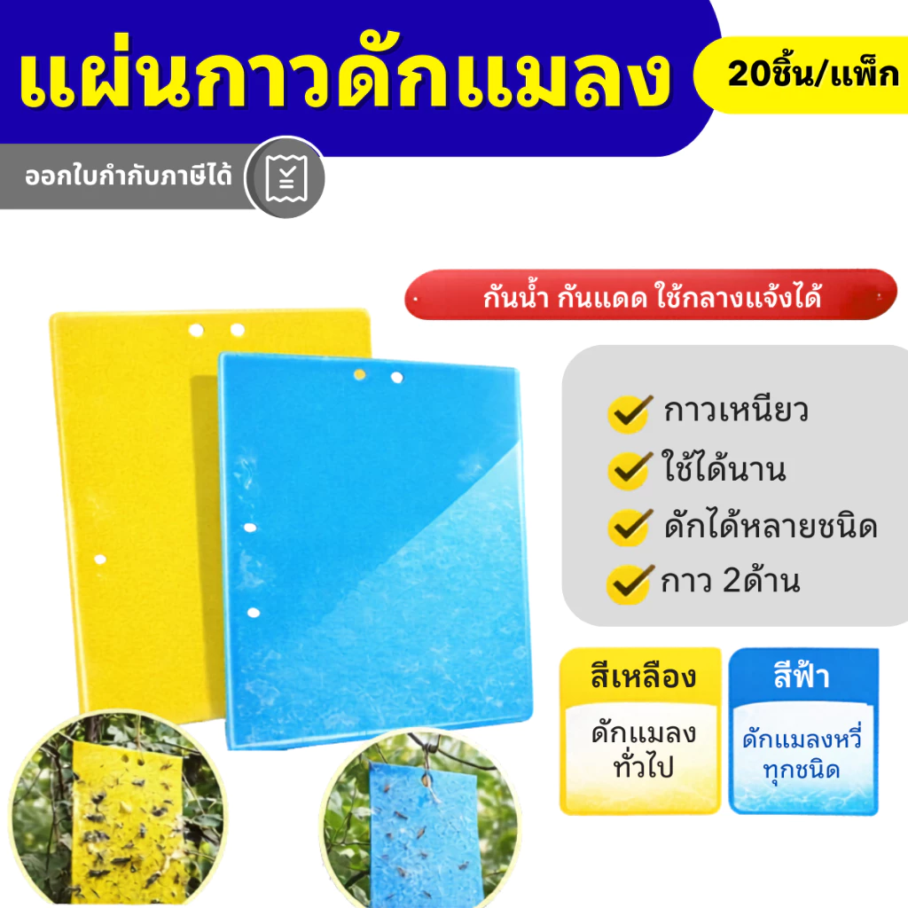 แผ่นกาวดักแมลง 2 หน้า สีเหลือง/ฟ้า เหนียวพิเศษ กันน้ำ กันแดด ดักเพลี้ย แมลงศัตรูพืช