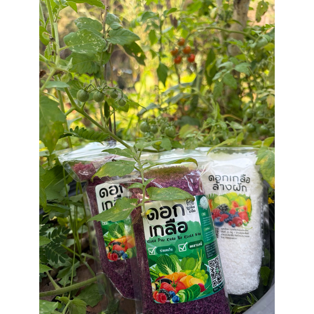 เกลือล้างผักผลไม้/เนื้อสัตว์ผสมผงด่างทับทิม ช่วยลดสาร พิษตกค้าง ฆ่าเชื้อโรค เพื่อสุขภาพที่ดี