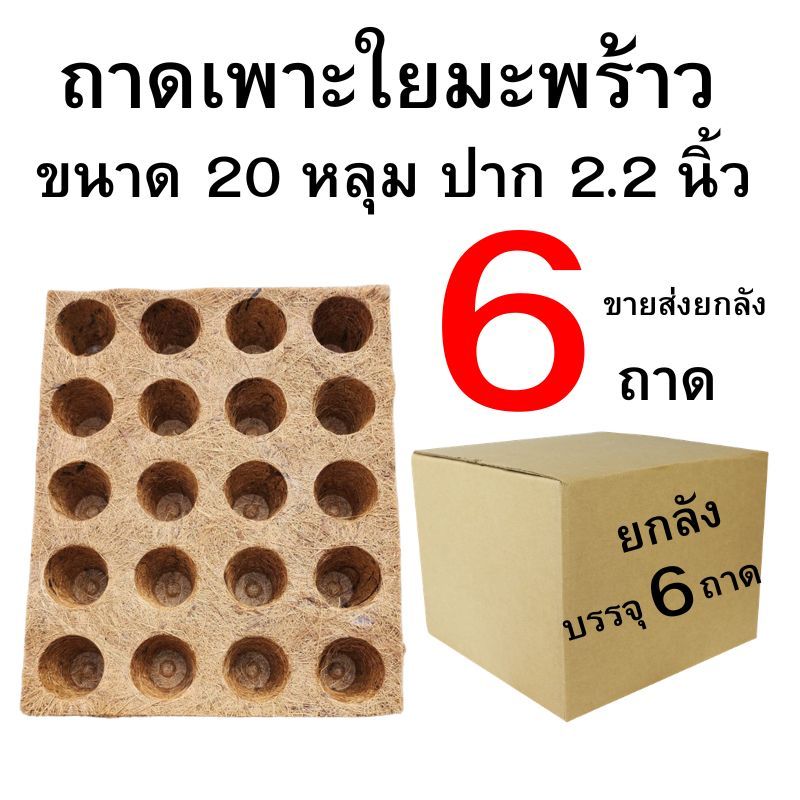 ถาดเพาะใยมะพร้าว 20 หลุม ปาก 2.2 นิ้ว ปลีกส่ง 1-6 ใบ