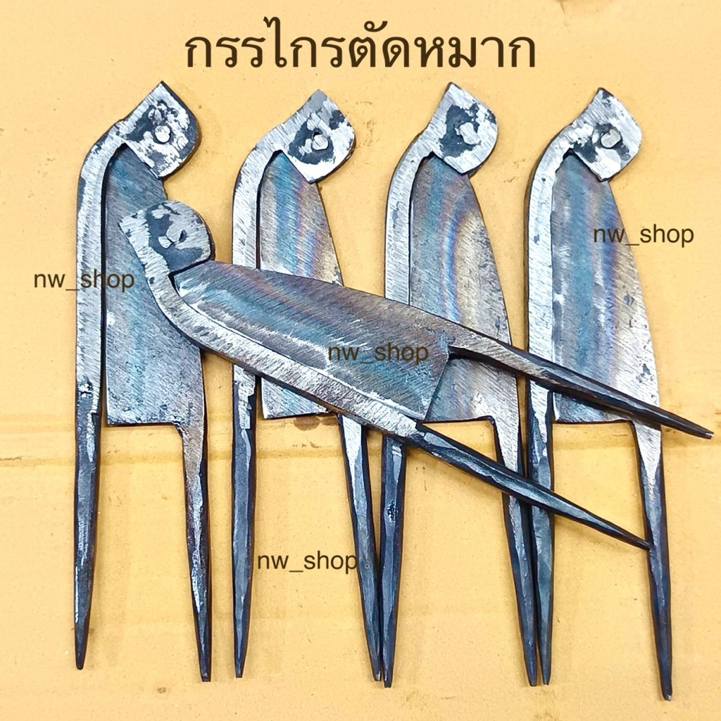 กรรไกรตัดหมาก กรรไกรปอกหมาก มีดปอกหมาก กรรไกรตัดหมาก กรรไกรปอกหมาก มีดปอกหมาก คุณภาพสูง ทนทาน ใช้งานง่าย