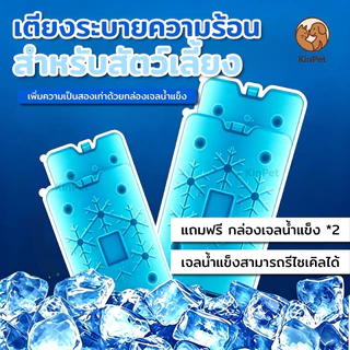 ที่นอนเย็นสำหรับแมว (แถมขวดน้ำแข็ง 2 ขวด) ที่นอนเย็นสำหรับสัตว์เลี้ยง ้ความเย็นด้วยวิธีทางกายภาพ สะอาด ผ ผลิตจากวัสดุรี