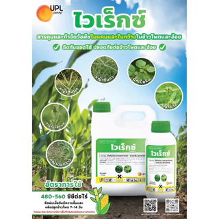 ไวเร็กซ์ ขนาด 4 ลิตร - มีโซไตรโอน + อะทราซีน - กำจัดวัชพืช ใบแคบ ใบกว้าง ในไร่ข้าวโพด