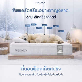 Solomon ที่นอนพ็อกเก็ตสปริง รุ่น Icense หนา 12 นิ้ว ผ้าสัมผัสเย็นพิเศษ