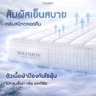 Solomon ที่นอนพ็อกเก็ตสปริง รุ่น Icense หนา 12 นิ้ว ผ้าสัมผัสเย็นพิเศษ