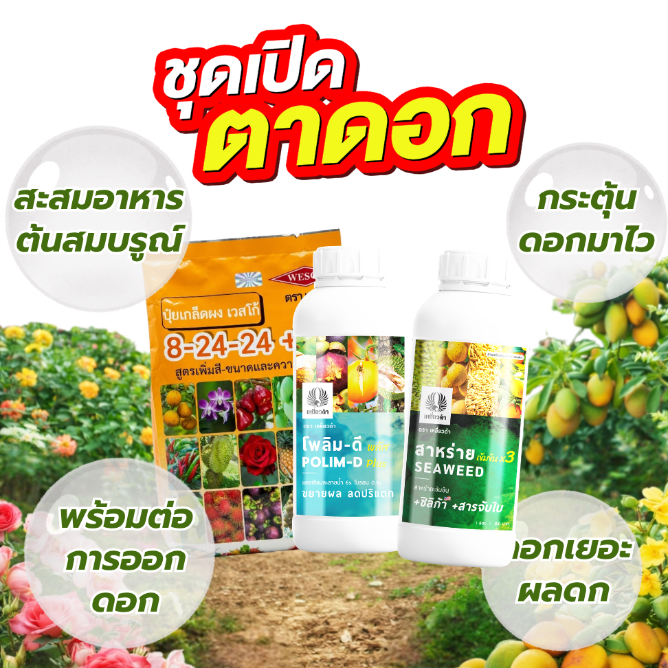 [ชุดเปิดตาดอก] ปุ๋ยน้ำแคลเซียมโบรอน ปุ๋ยเกล็ด 8-24-24 เปิดตาดอกแบบหวังผล ดอกเยอะ สมบรูณ์ ผลดก เวสโก้