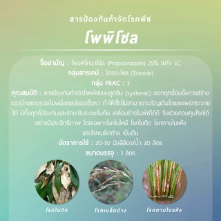 โพพิโซล (โพรพิโคนาโซล 25% W/V EC) 1 ลิตร