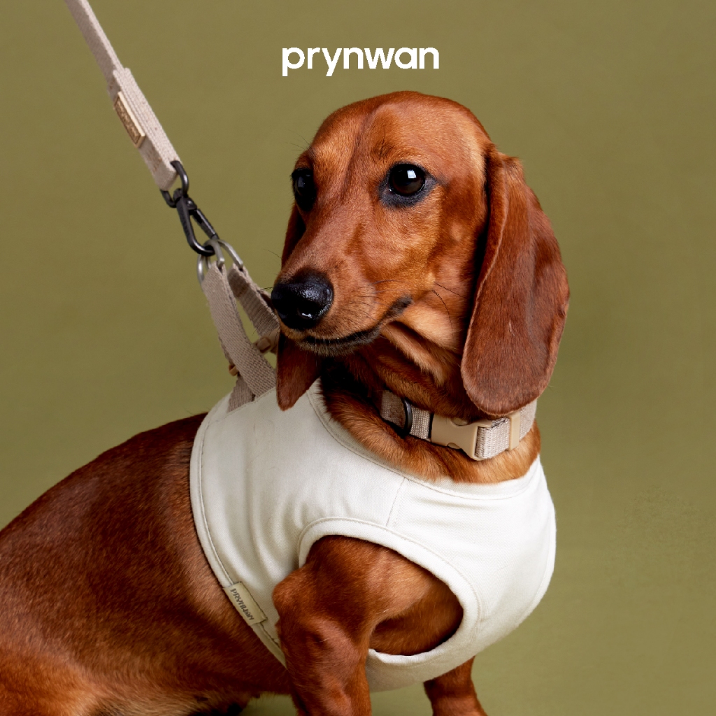 PRYNWAN Pets - Dog Collar Tone On Tone ปลอกคอ สัตว์เลี้ยง สีเบจ