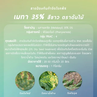 เมทาแลกซิล 35 สีขาว ตราต้นไม้ (เมทาแลกซิล 35% DS) 1 กิโลกรัม