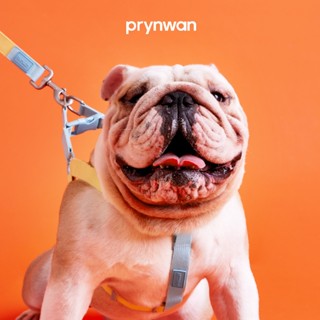 PRYNWAN Pets - Dog Harness Two Tone สายรัดหน้าอก สัตว์เลี้ยง…