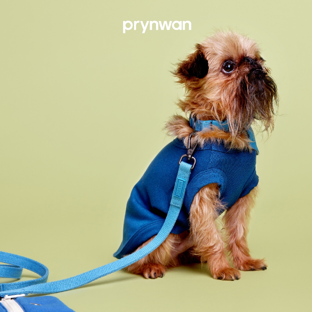 PRYNWAN Pets - Dog Leash Tone On Tone สายจูง สัตว์เลี้ยง สีน้ำเงิน