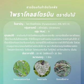 ไพราโคลสโตรบิน ตราต้นไม้ (ไพราโคลสโตบิน 25% W/V EC) 1 ลิตร
