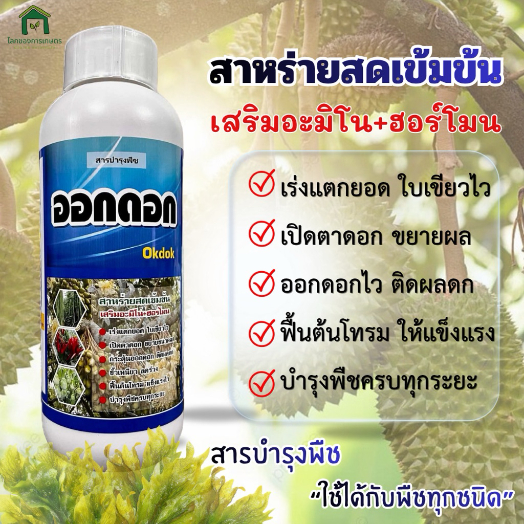 🍃พร้อมส่ง✅สาหร่ายเขียว+อะมิโน+ไซโตโคนินเสริมฮอร์โมนพืช ออกดอก ติดลูกดกออกดอกออกผลไว🌸 สูตรเข้มข้น 500 ซีซี /1 ลิตร