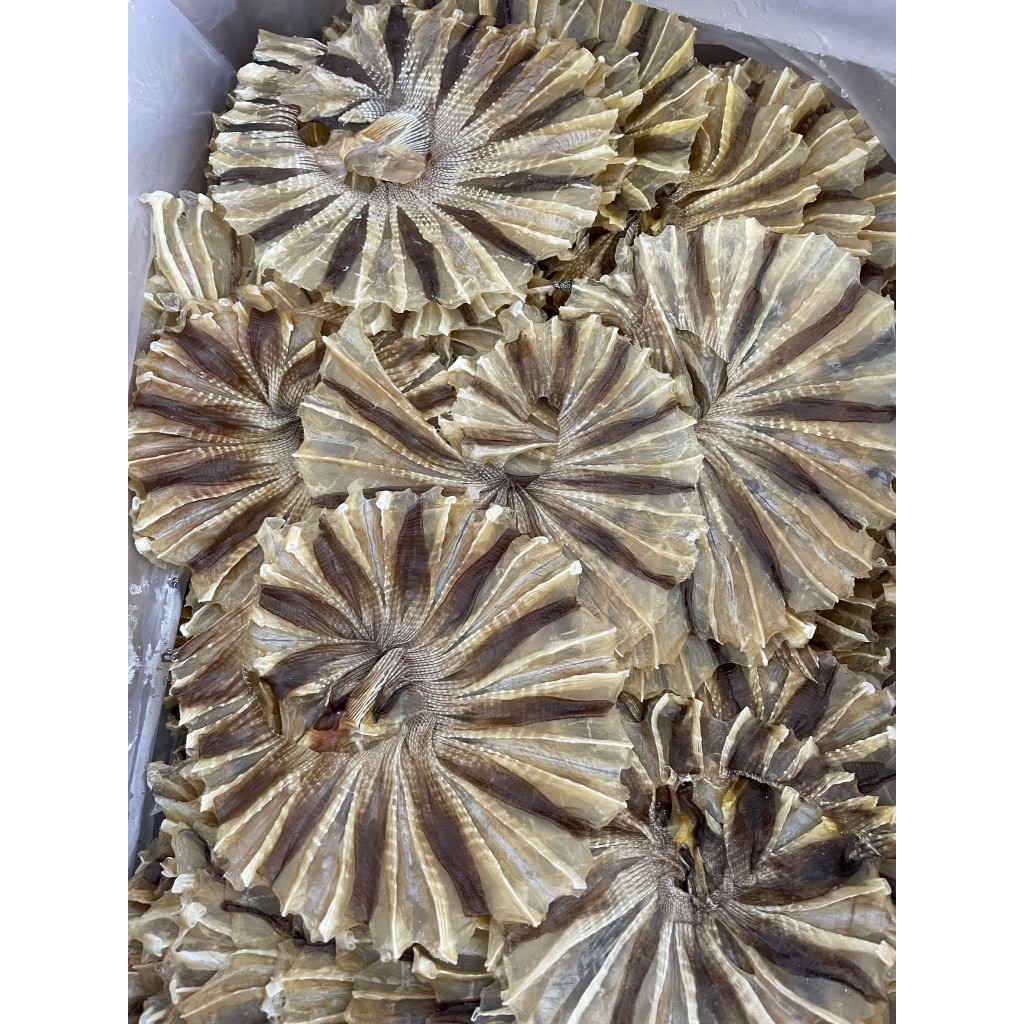 (เค็มน้อย) ปลาวงแก้วจืด กระเบนวงแก้วจืด น้ำหนัก 500 กรัม /จัดส่งวงแก้วจืด ครึ่งโล /