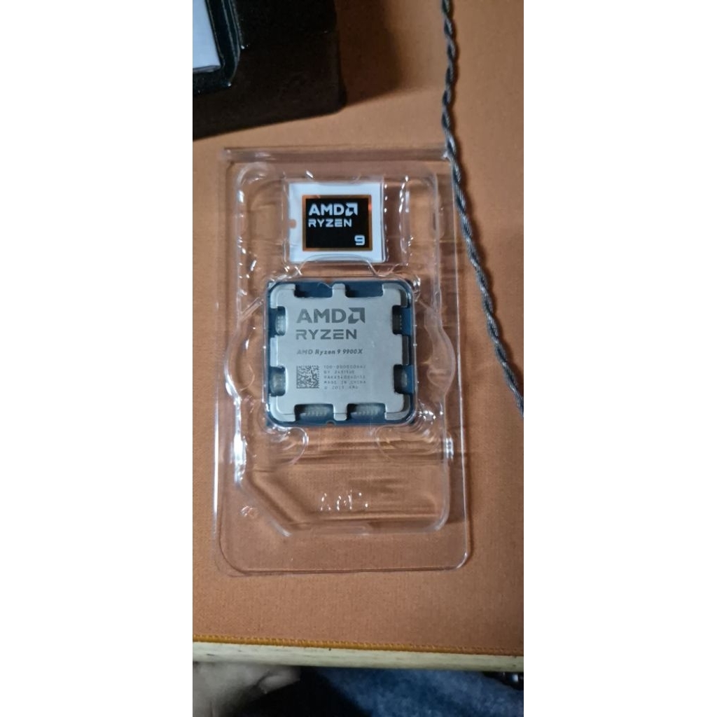 AMD ryzen9 9900x ตัวแรง