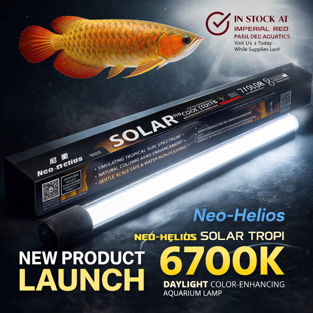 หลอดไฟ SOLAR Color Booster ของแท้💯 ไฟเทรนนิ่งปลา