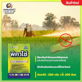 พิคาโซ่ 1 กิโล (ไพมีโทรซีน50%) ทำหมันเพลี้ย เพลี้ยกระโดดสีน้ำตาล เพลี้ยกระโดดท้องขาว เพลี้ยไก่แจ้ เพลี้ยจักจั่น
