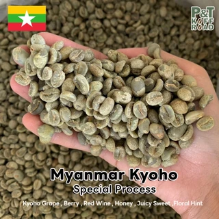 เมล็ดกาแฟดิบ Myanmar Kyoho : Green Bean Myanmar . Special Process บรรจุ 500g. - 1 kg. P&T KoffRoad