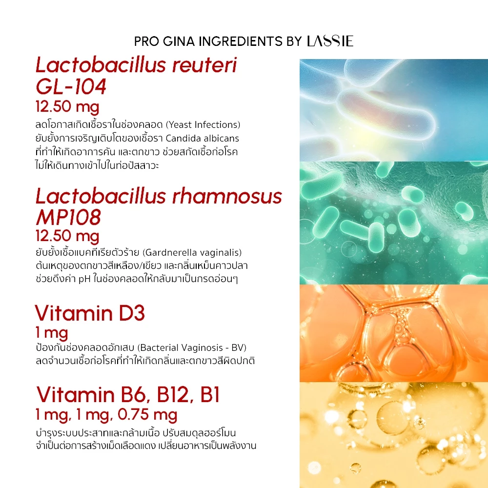 [ตะกร้าบริษัท] LASSIE Progina Probiotics โพรไบโอติกส์ 2 สายพันธุ์คัดเฉพาะเพื่อผู้หญิง แคปซูลทนกรดแตกตัวที่ลำไส้ thumbnail 4
